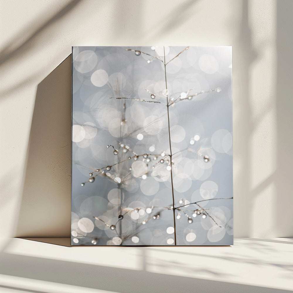 Natural Sparkle | Canvas
