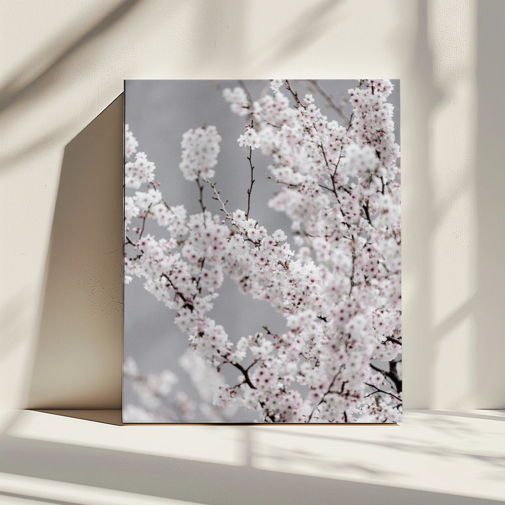 Colorful Spring 6 | Canvas