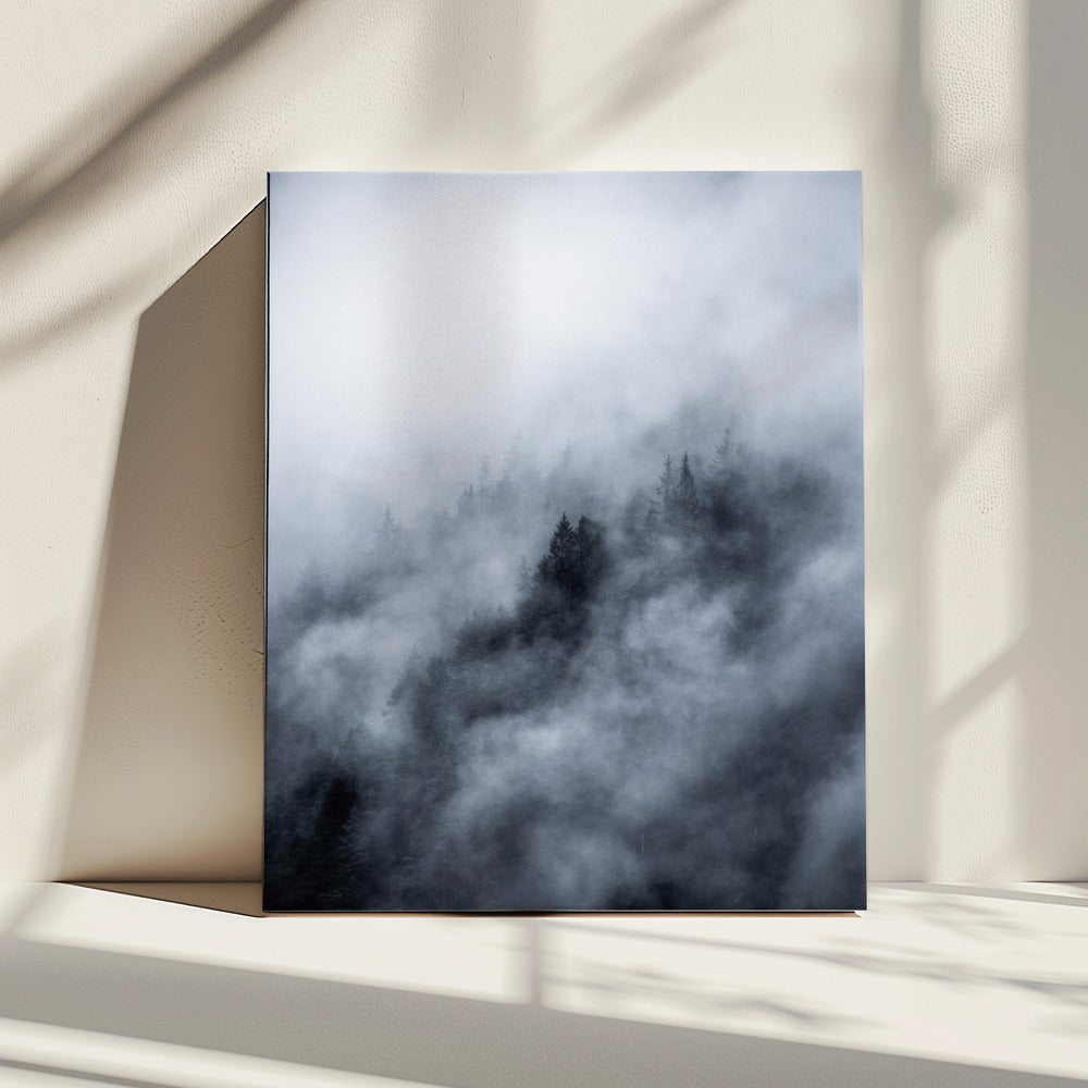 Foggy Morning 3 | Canvas