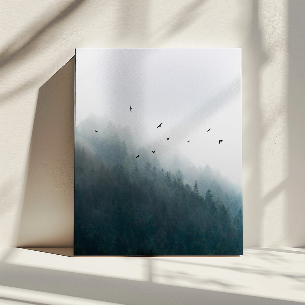 Foggy Morning 4 | Canvas