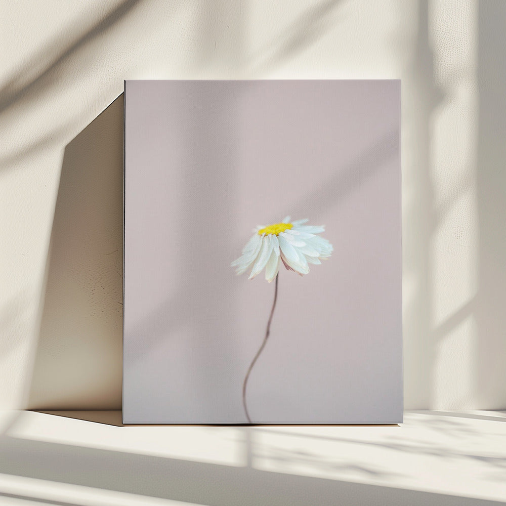 Fragile 1 | Canvas