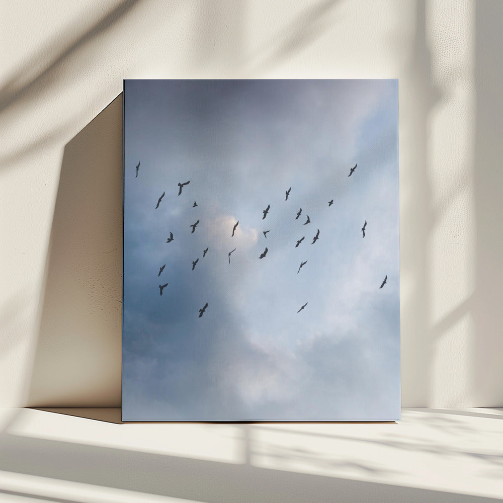 Free As a Bird | Canvas