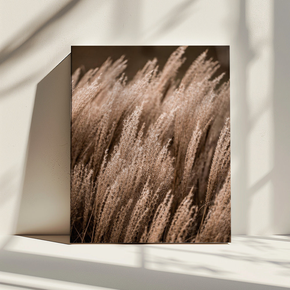 Gras 16 | Leinwand
