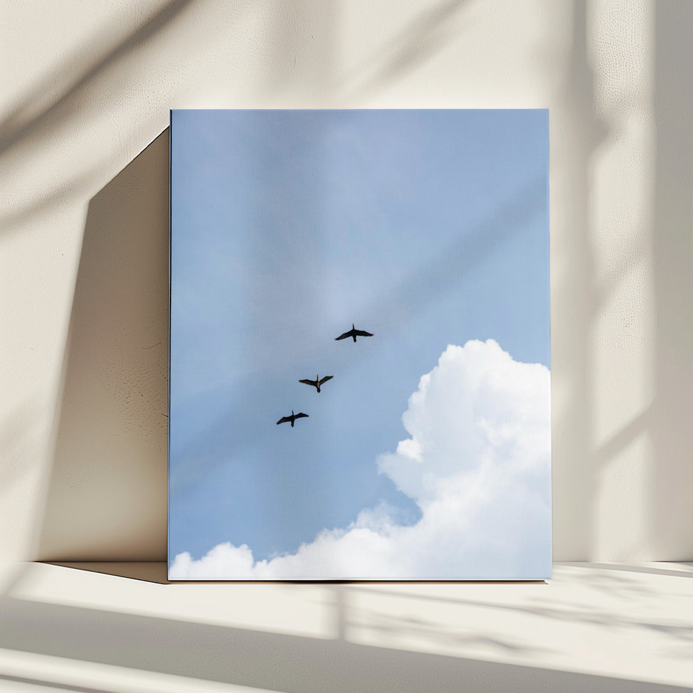 Fliegen nach Hause | Leinwand