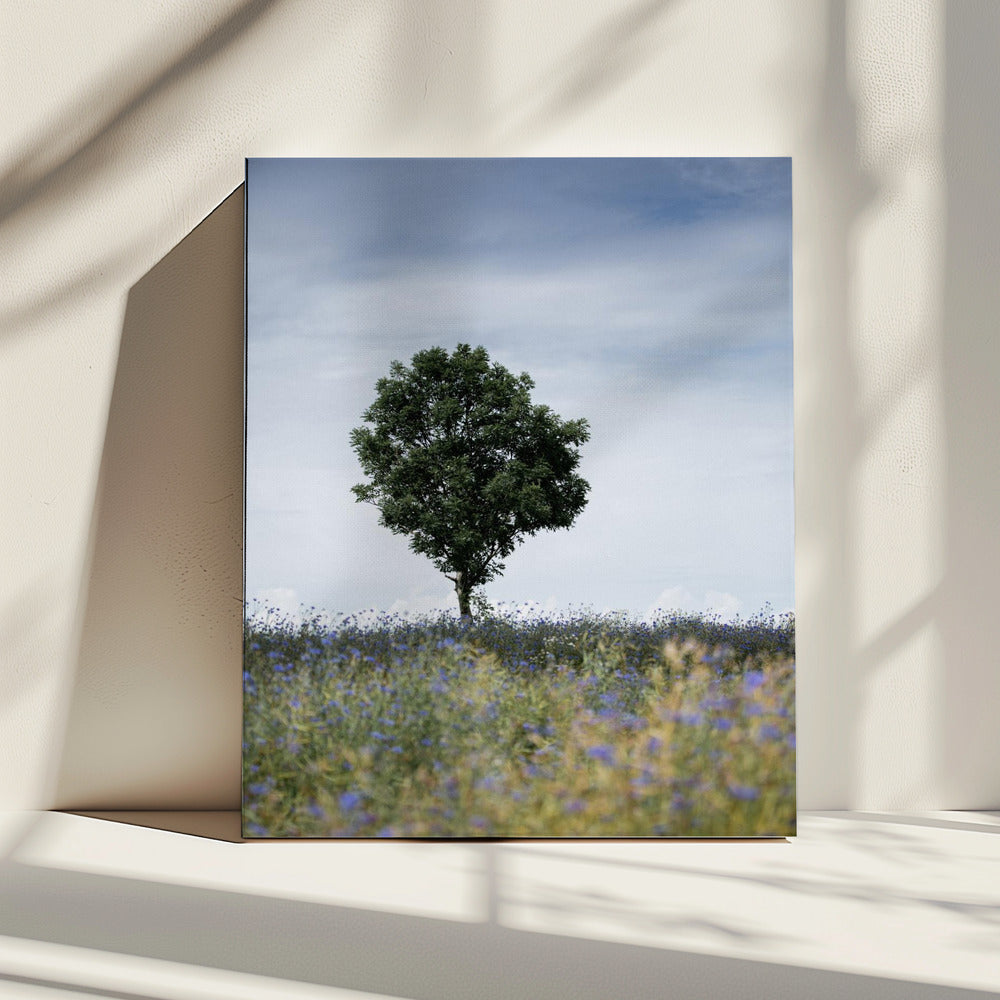 Sommerwiese | Leinwand