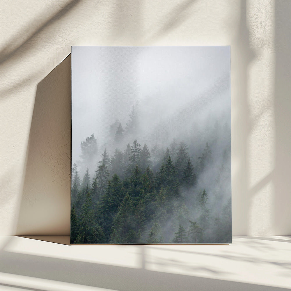 Nebliger Morgen 2 | Leinwand