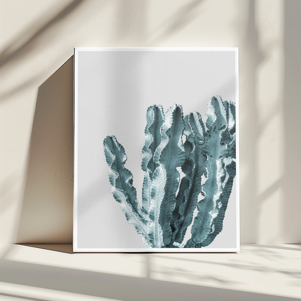 Cactus Elegance | Canvas