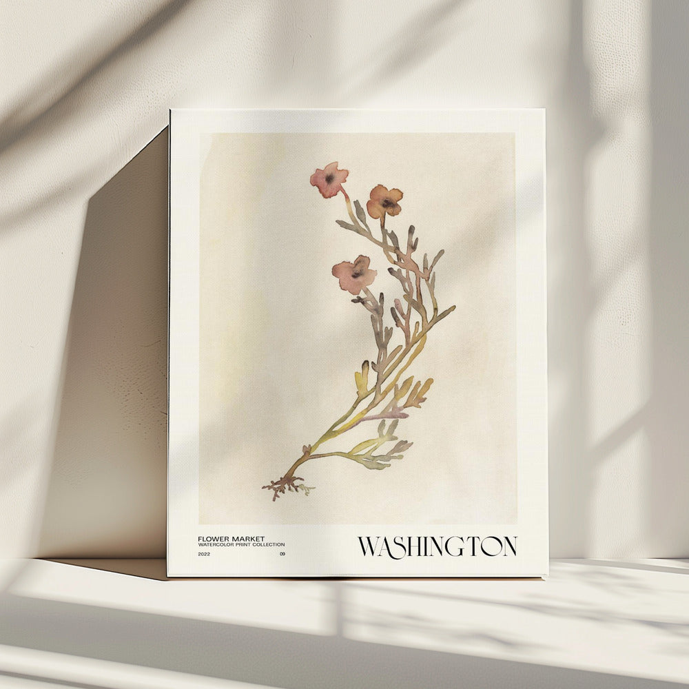 Aquarelldruck-Sammlung. Blumenmarkt – Washington | Leinwand