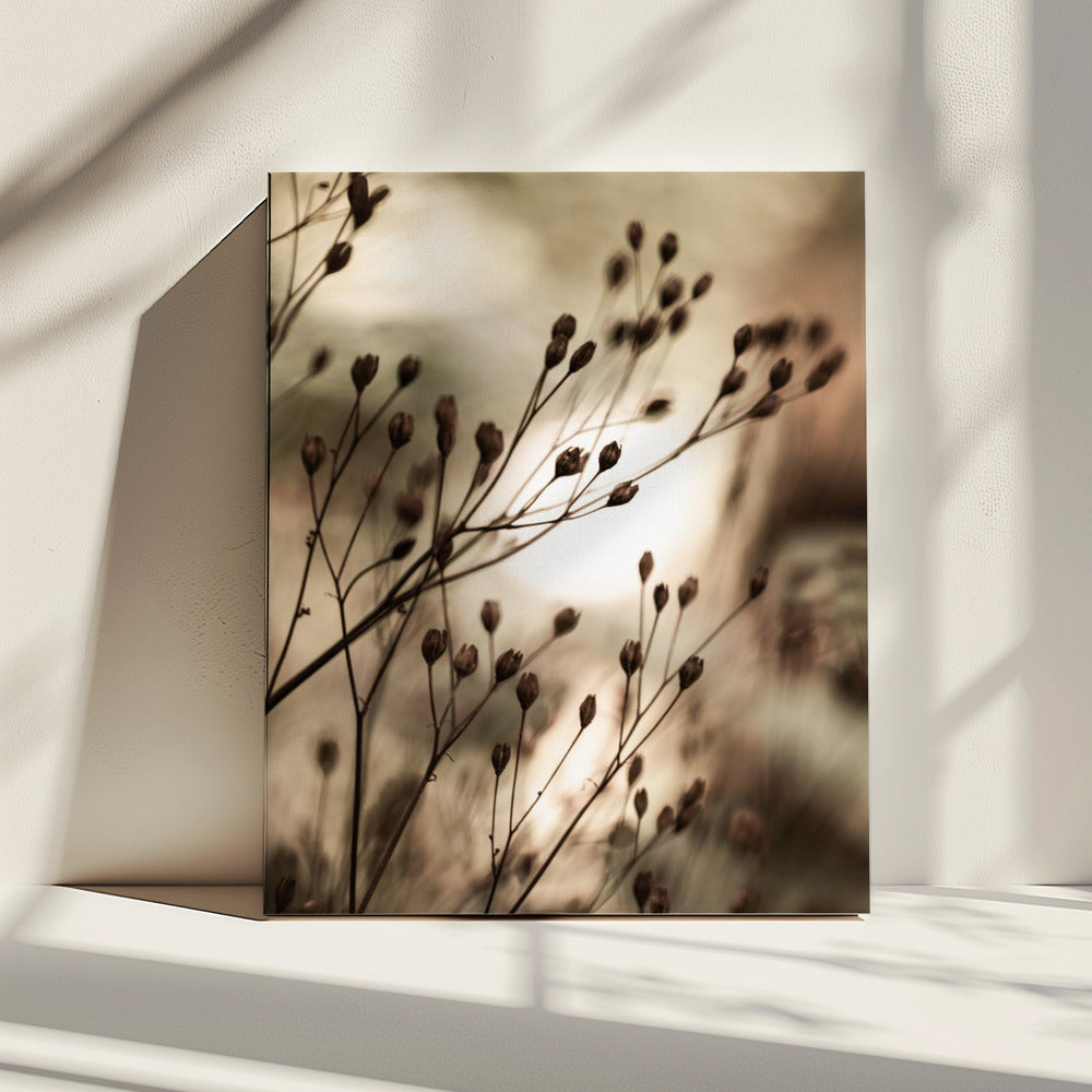 Herbstlichter | Leinwand