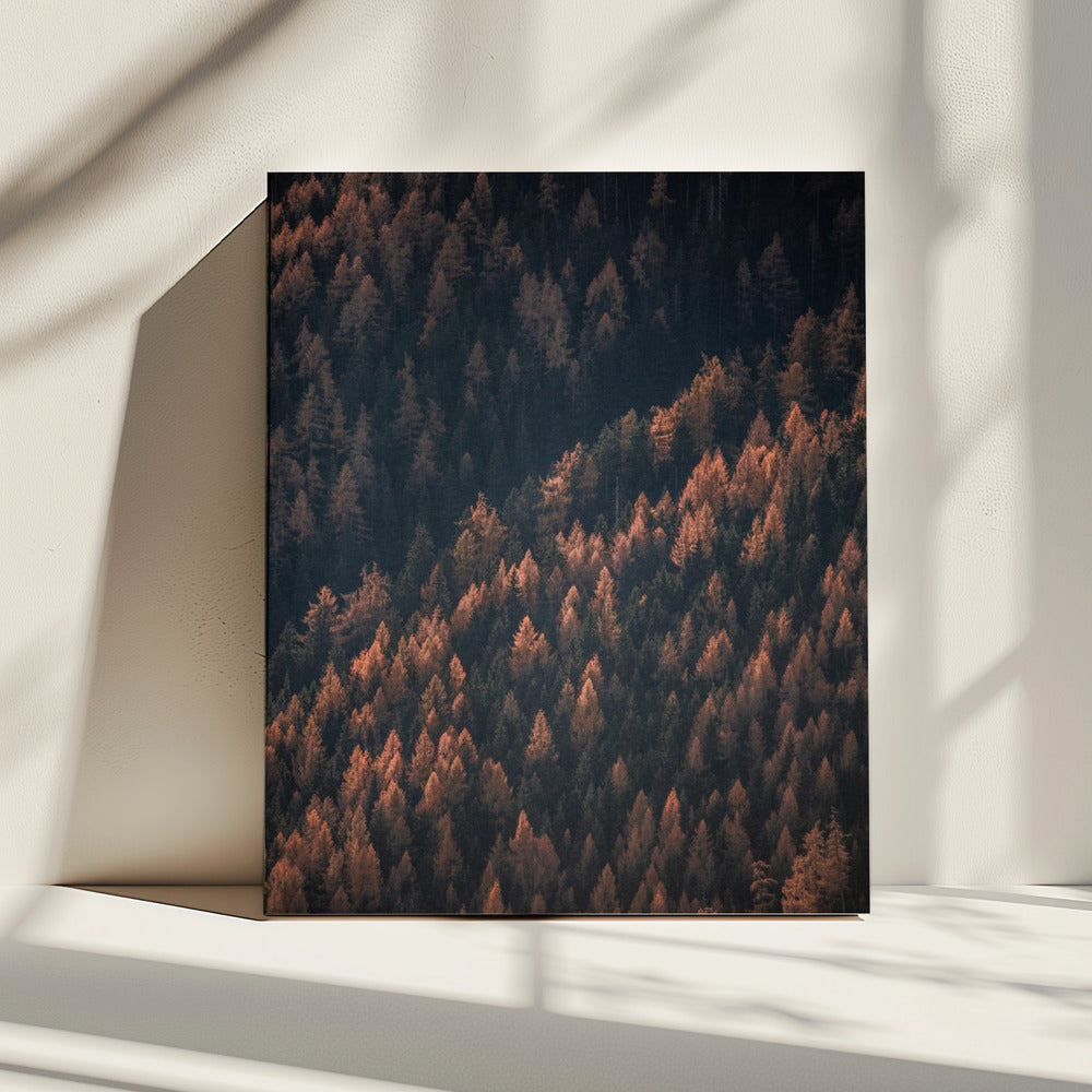 Herbstwald 2 | Leinwand