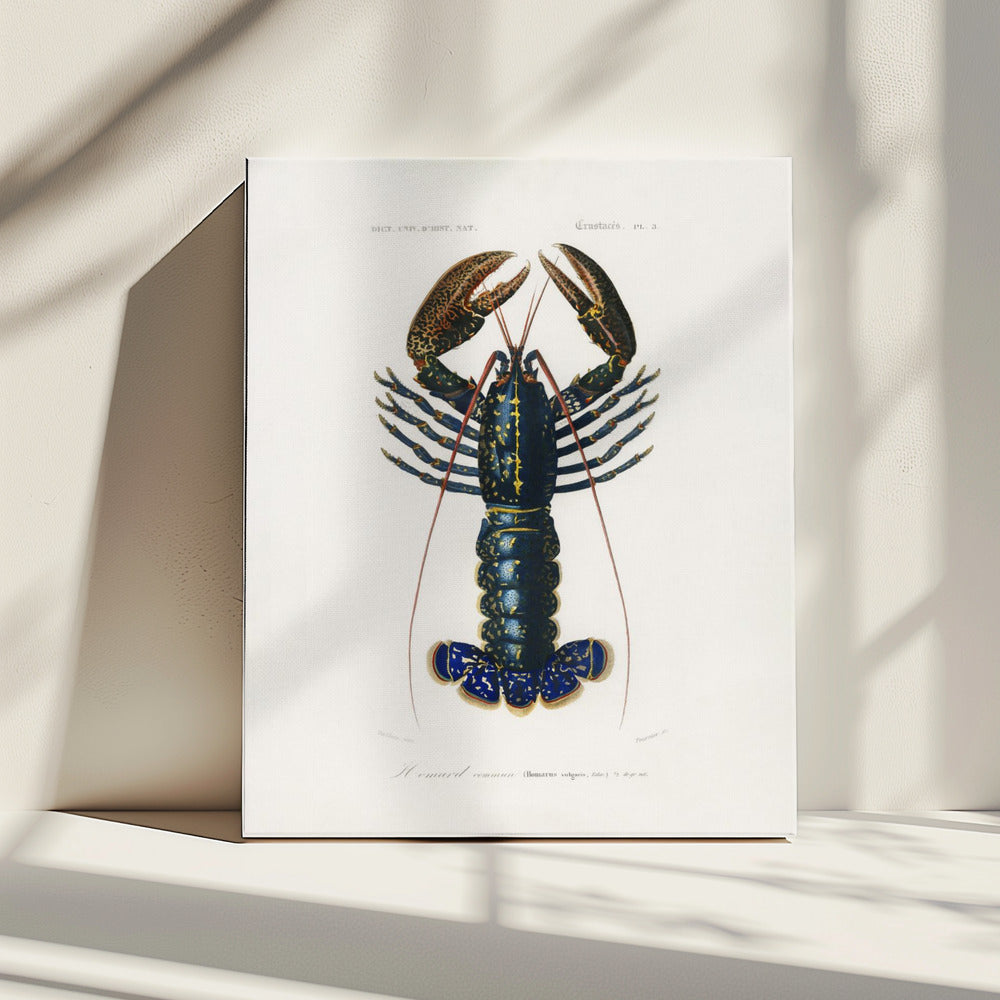 Crimson Crawfish | Canvas