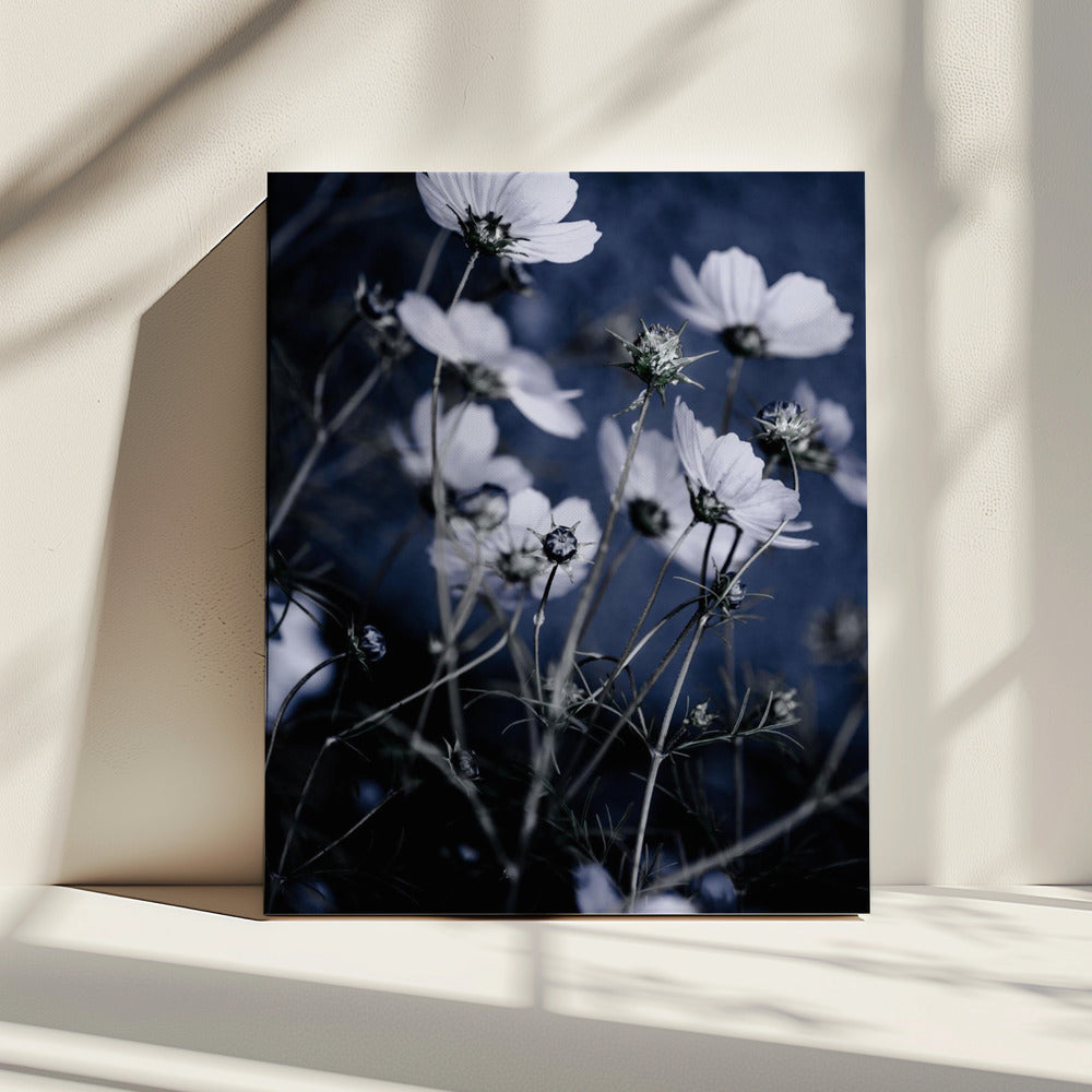 Wildblumen 10 | Leinwand
