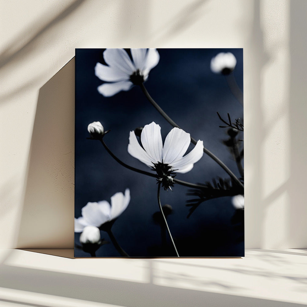 Wildblumen 1 | Leinwand