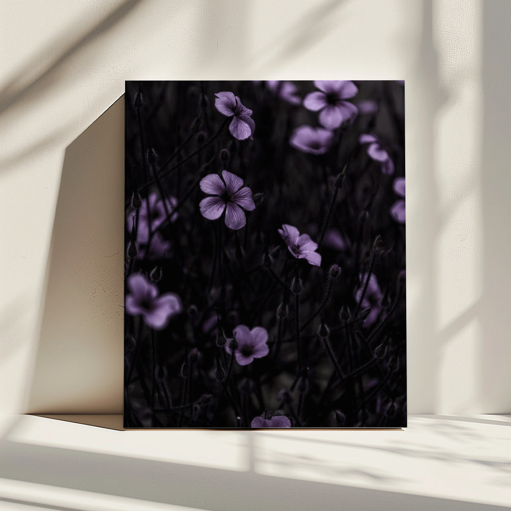 Dunkle Blumen 10 | Leinwand