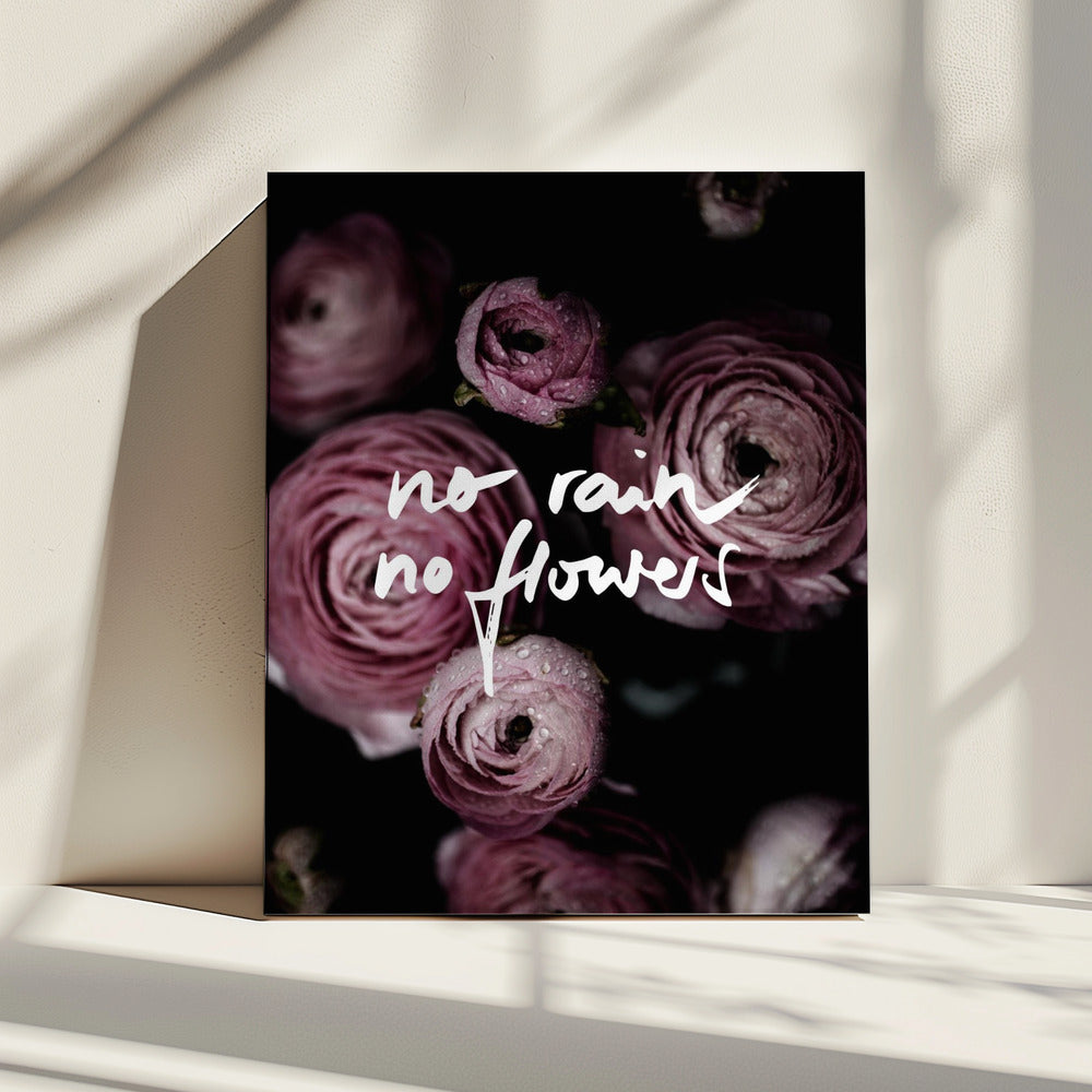 Kein Regen, keine Blumen 2 | Leinwand