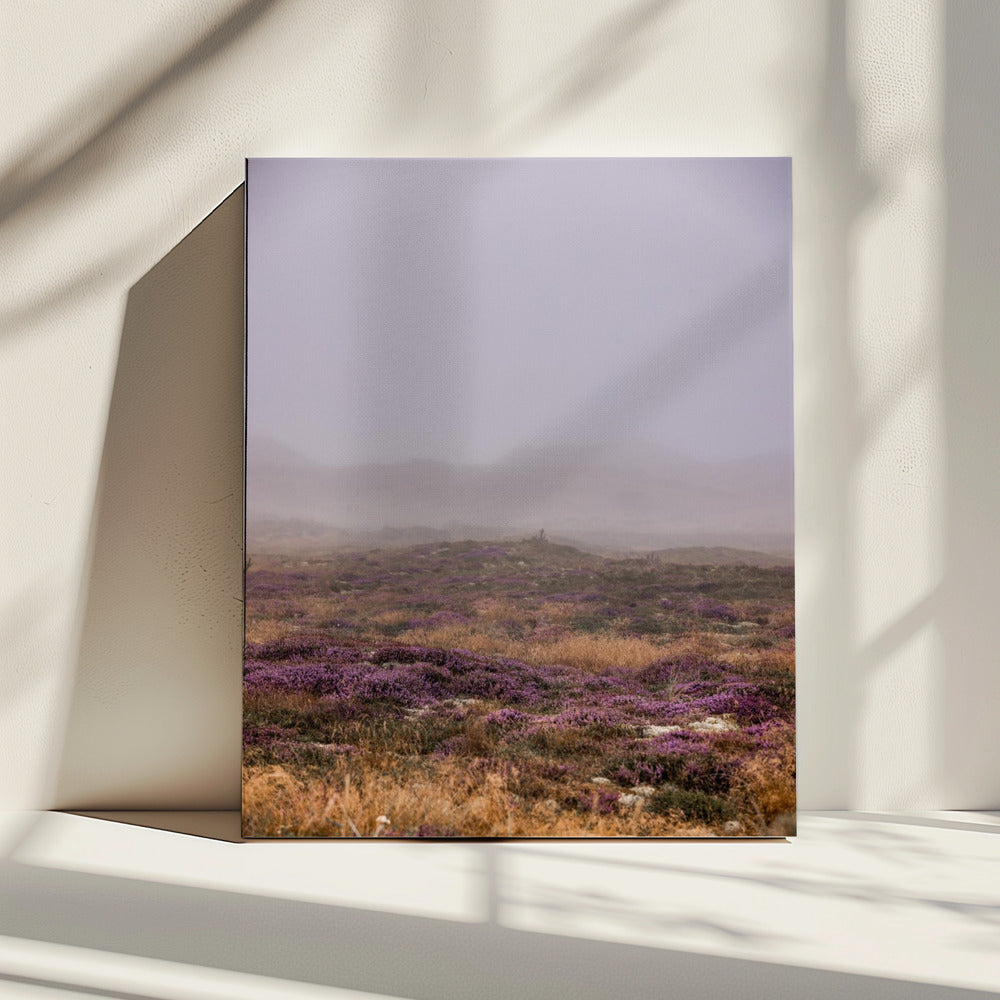 Dunes 1 | Canvas