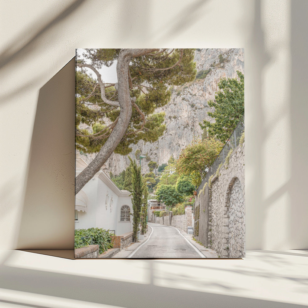 Straßen von Capri | Leinwand