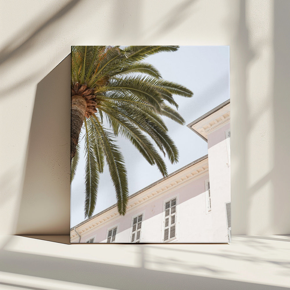 Tropisches Menton | Leinwand