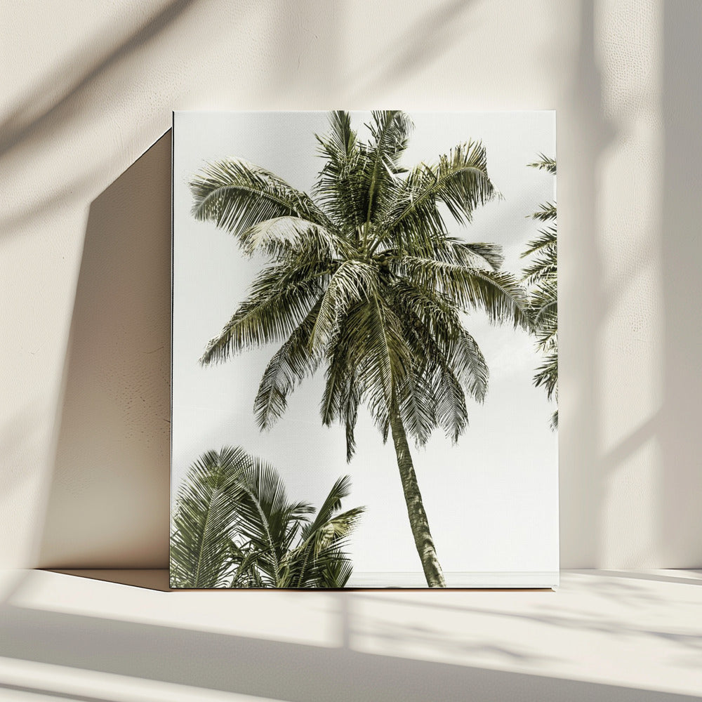 Palmen am Meer | Vintage | Leinwand