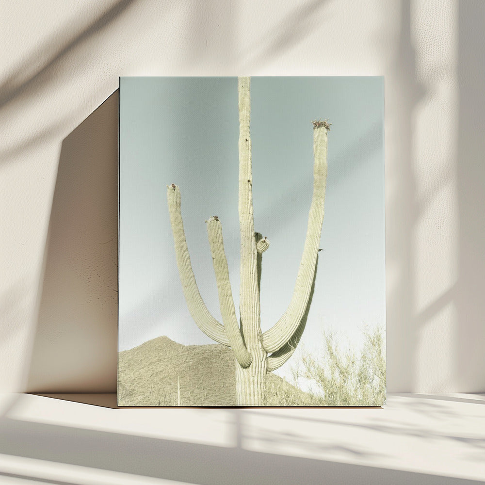 SAGUARO-NATIONALPARK Vintage Riesen-Saguaro | Leinwand