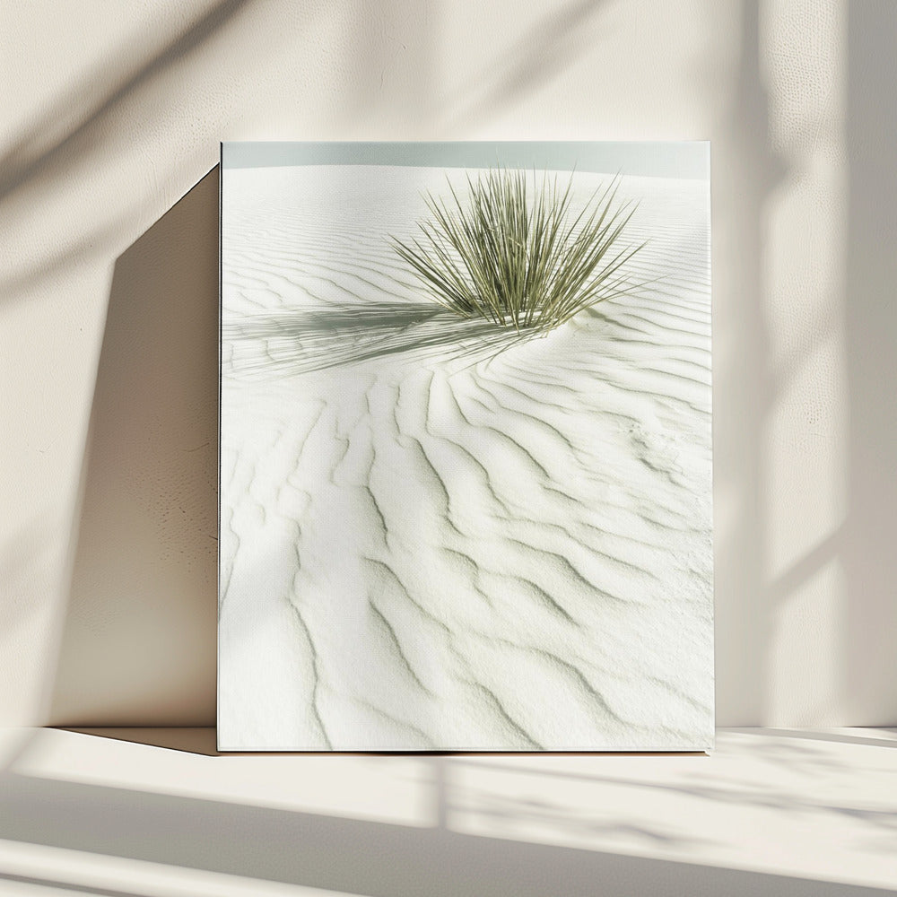 WHITE SANDS Idyllische Vintage-Landschaft | Leinwand