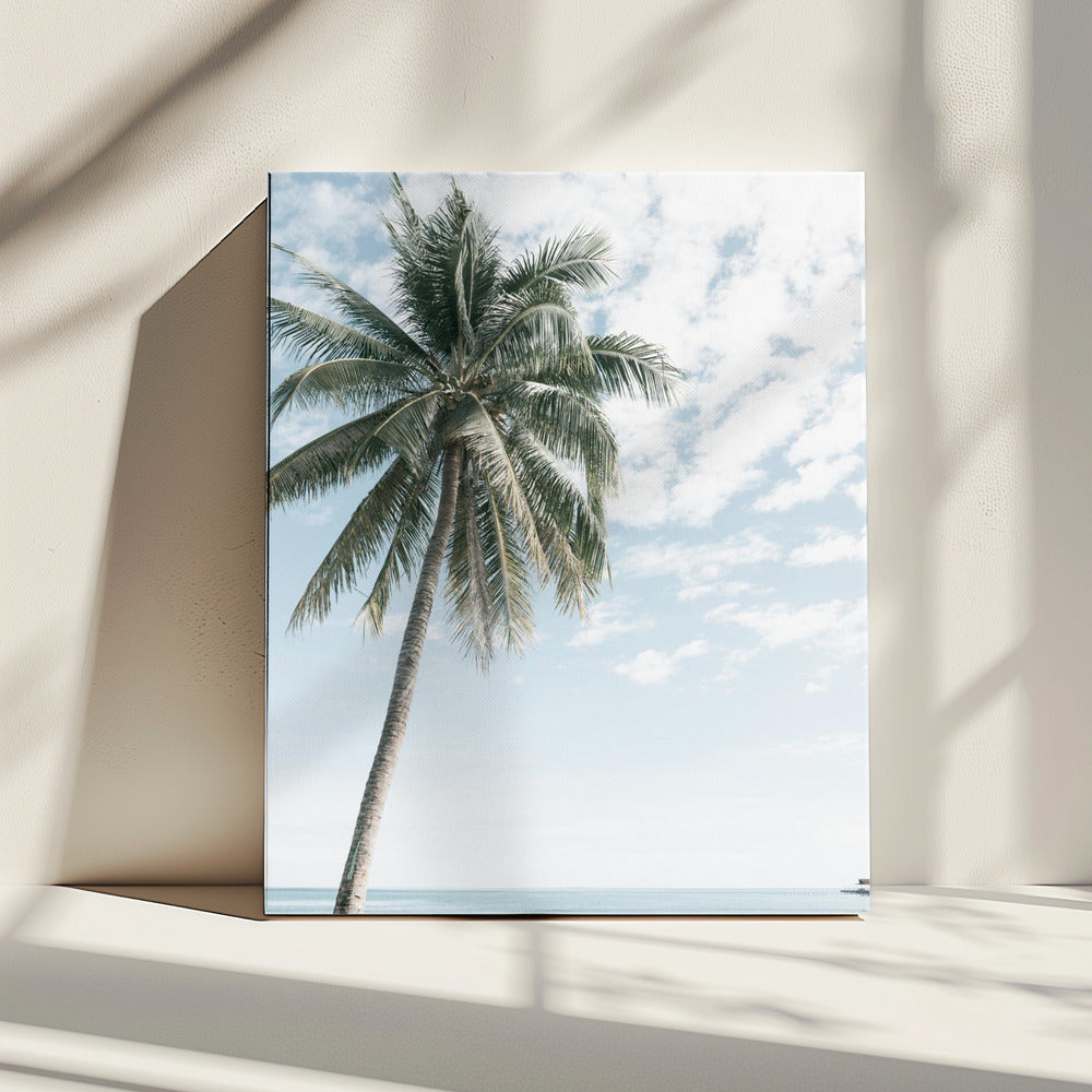 Palme am Strand 2 | Leinwand