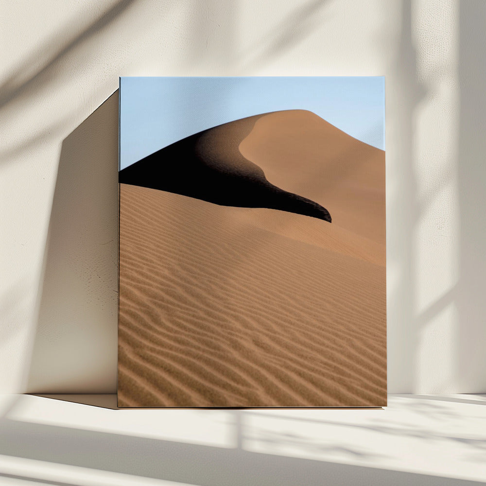 Sanddüne in der Wüste | Leinwand