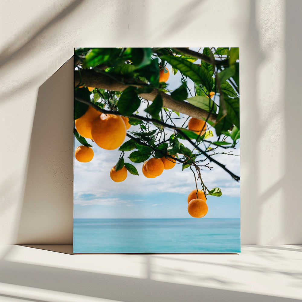 Orangen der Amalfiküste IV | Leinwand