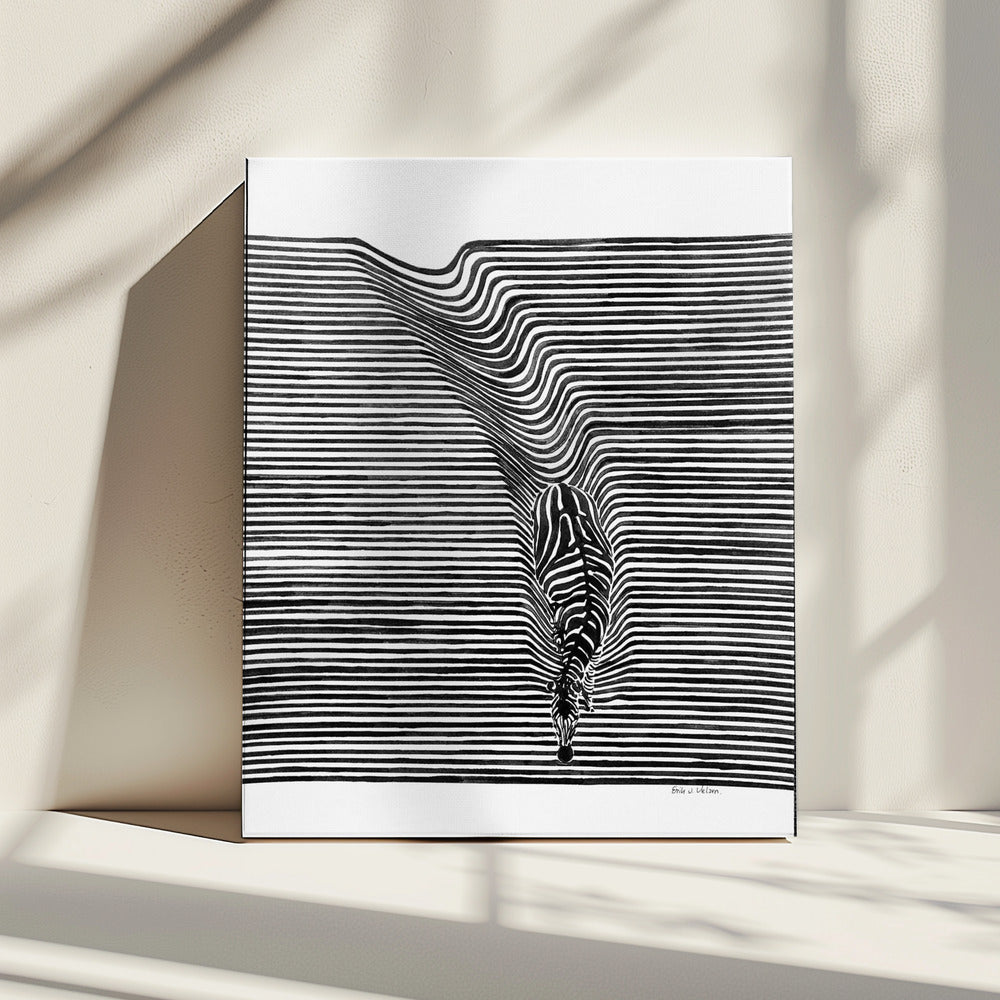 Zebra im Feld | Leinwand
