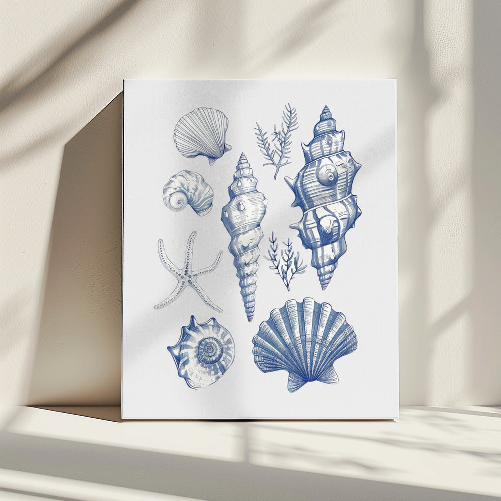 Muschelcollage | Leinwand
