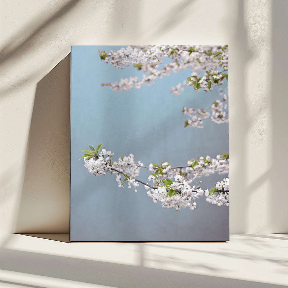 Colorful Spring 14 | Canvas