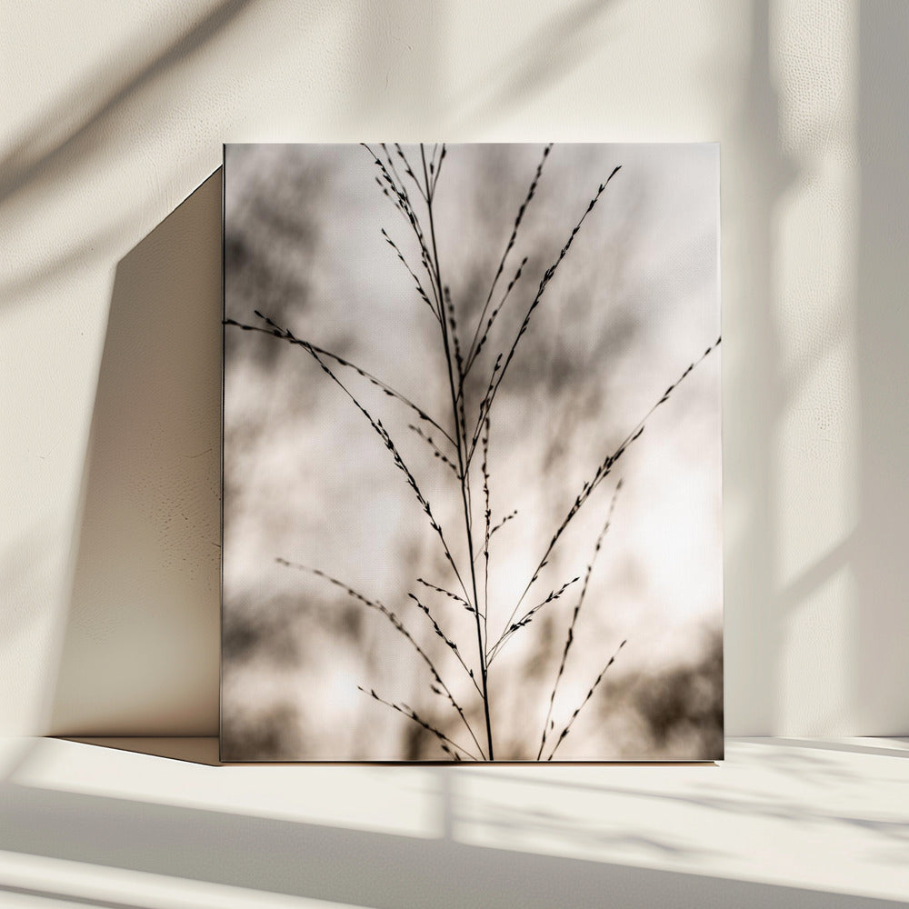 Grass 17 | Canvas