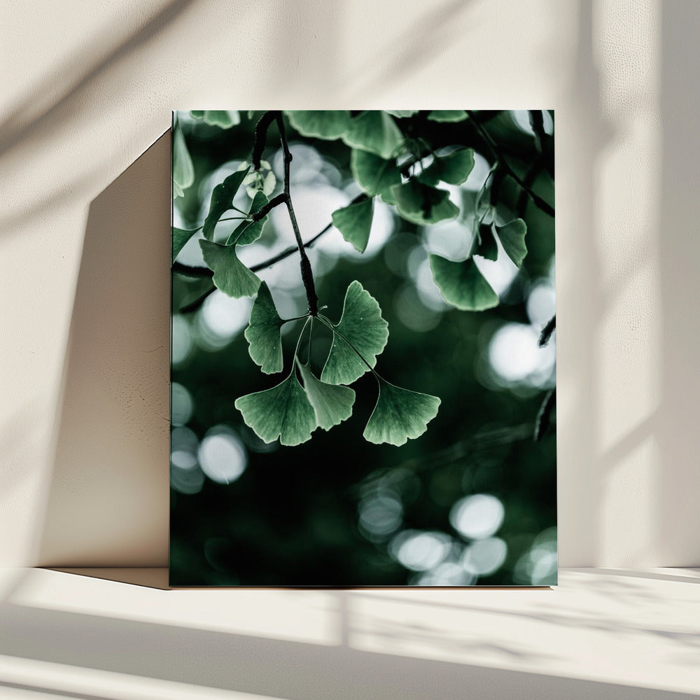 Ginko 1 | Leinwand