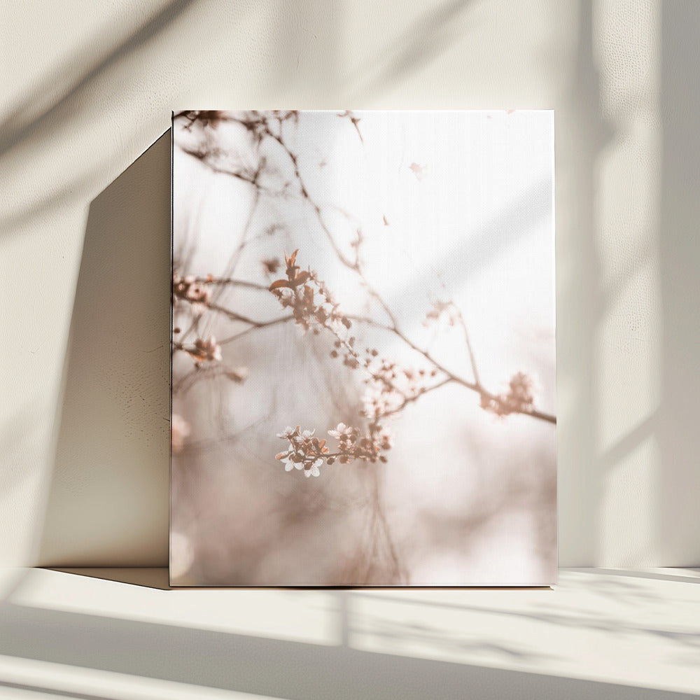 Letzter Frühling 3 | Leinwand