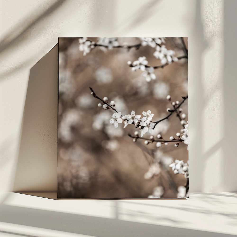 Letzter Frühling 1 | Leinwand