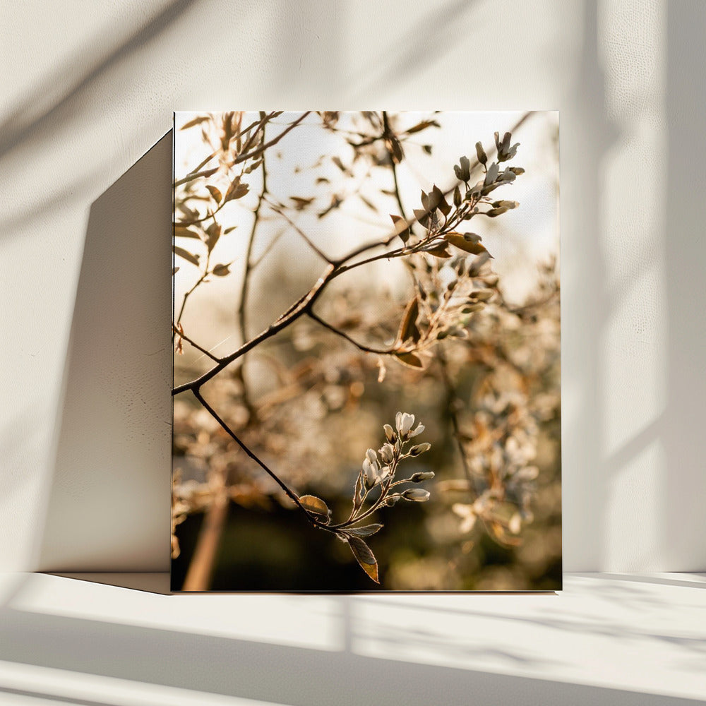 Letzter Frühling 4 | Leinwand