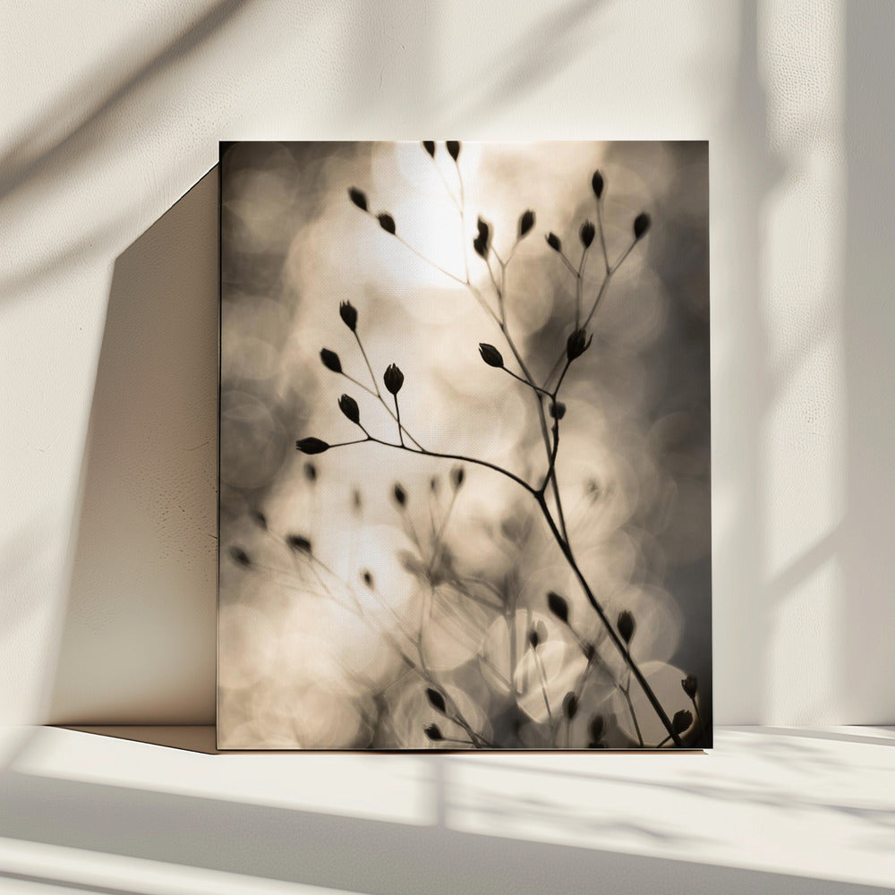 Sonnensilhouetten 1 | Leinwand