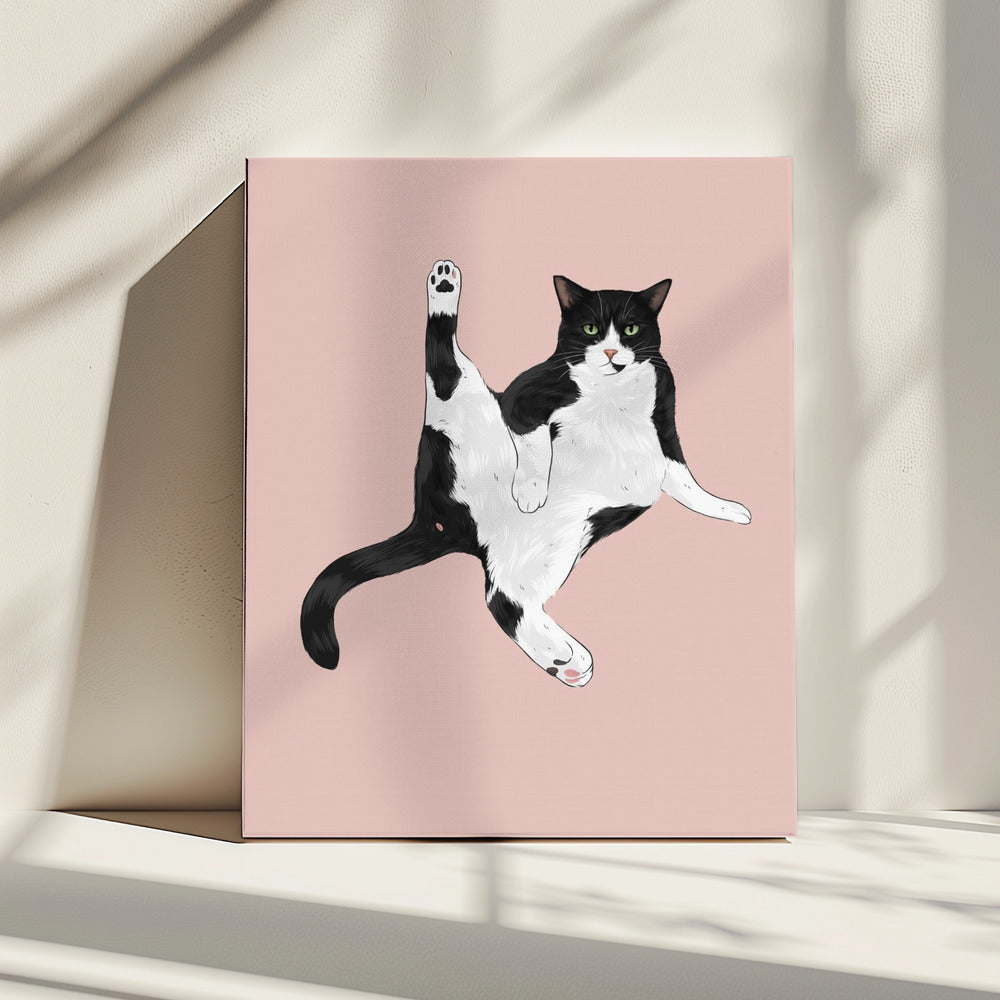 Katze in einer lustigen Pose | Leinwand