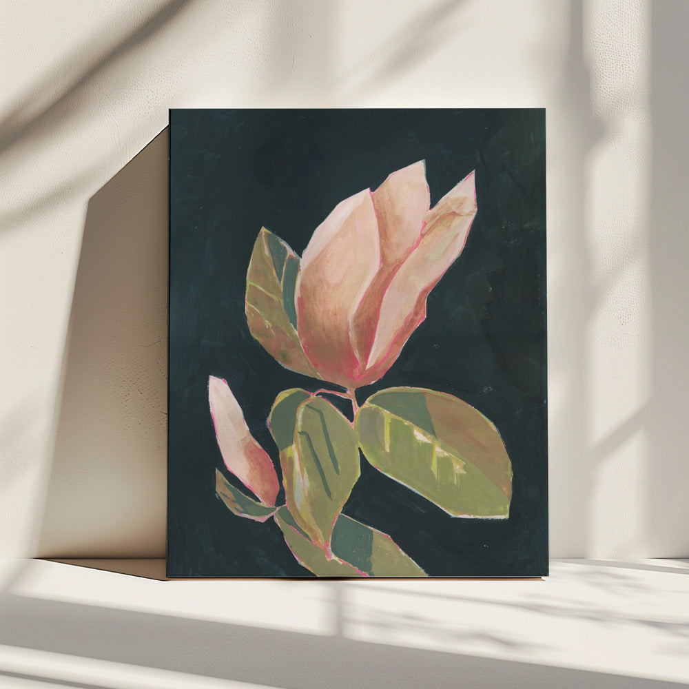 Magnolie auf dunklem Hintergrund | Leinwand