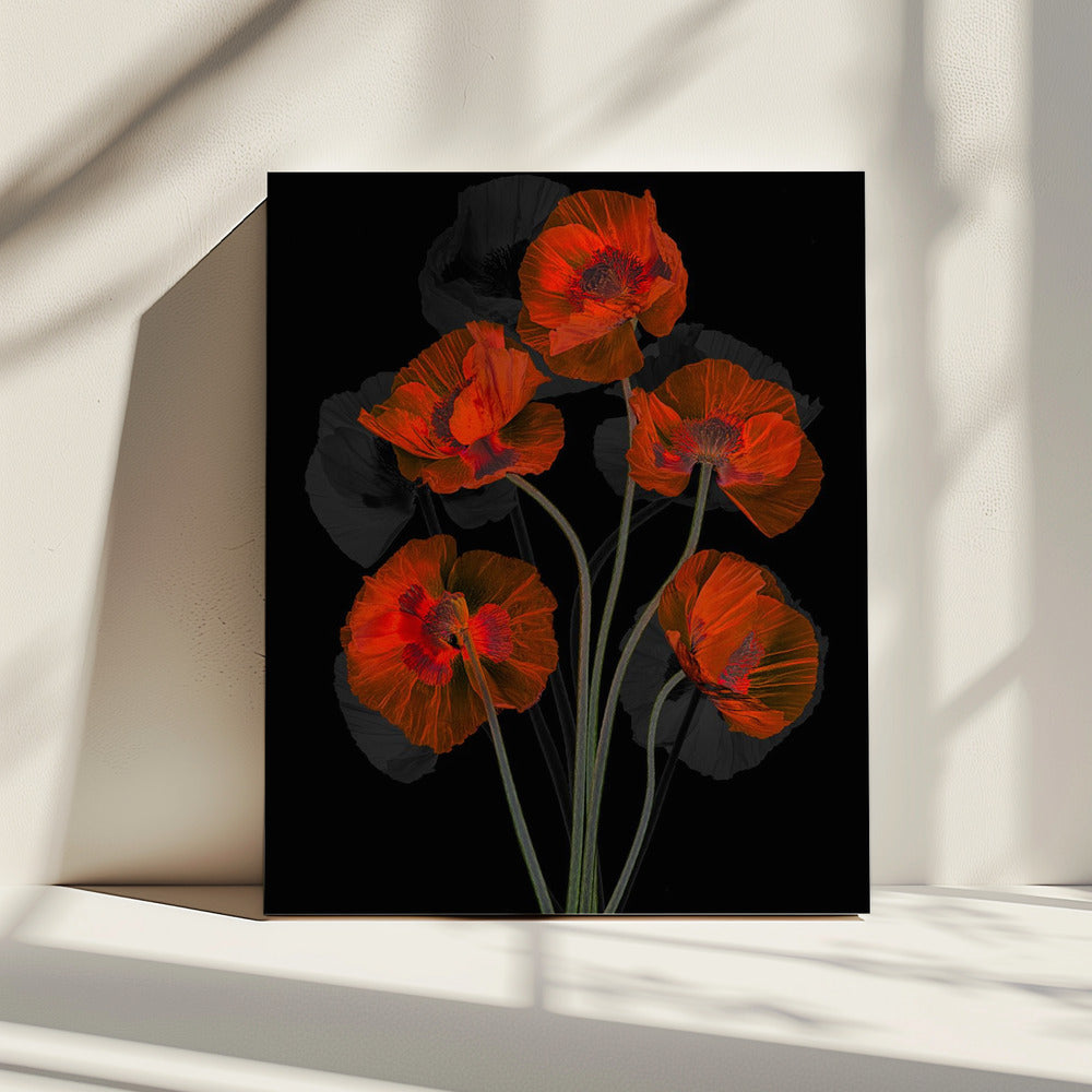 Eisiger roter Mohn | Leinwand