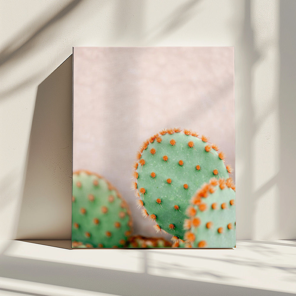 Kakteen Pastelltöne | Leinwand