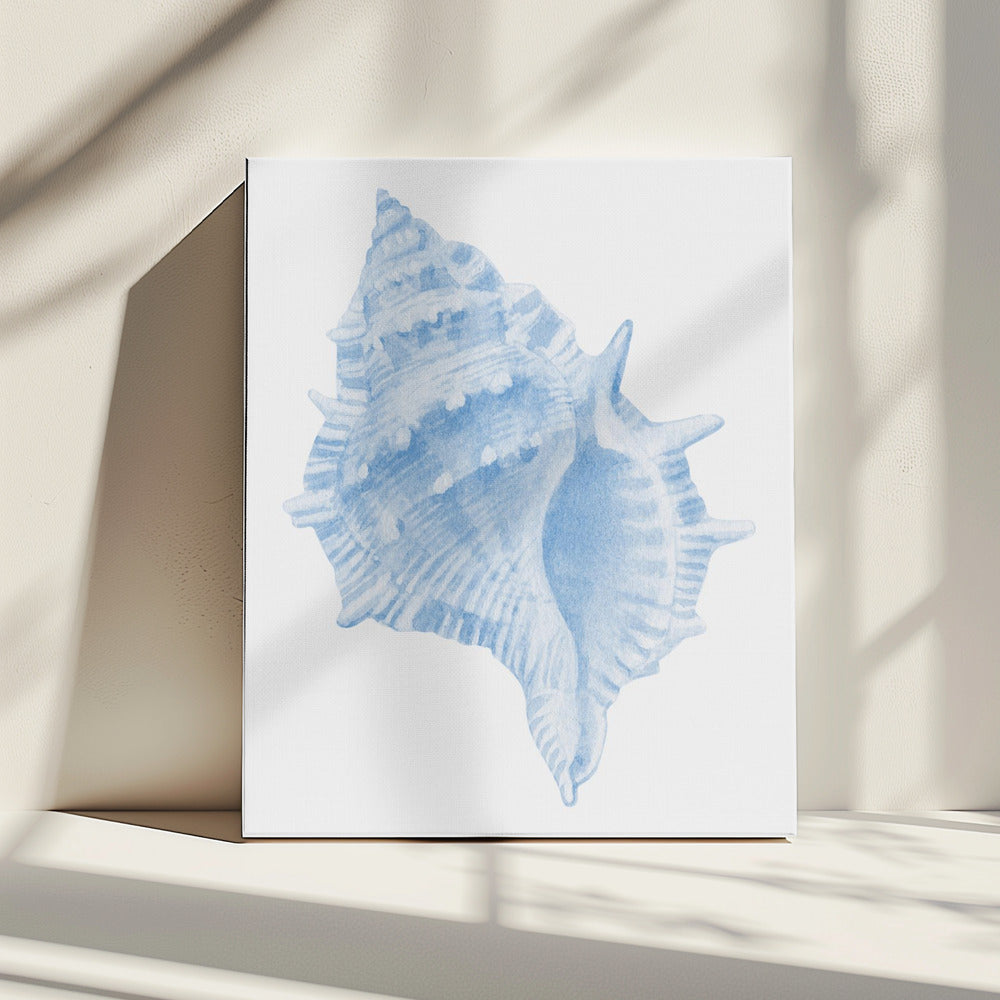 Eine blaue Muschel | Leinwand