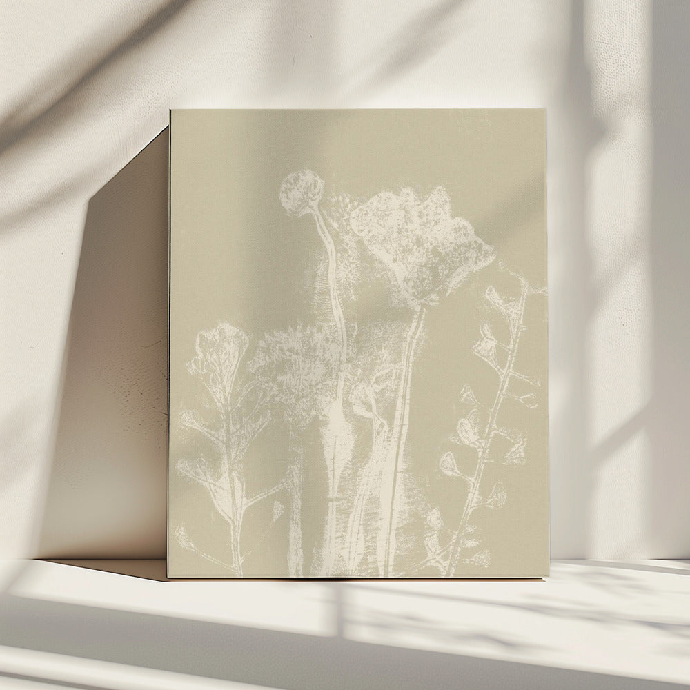 Abstrakte Blumen. Weiße Wiesenpflanzen und Blumen auf neutralem Beige. | Leinwand