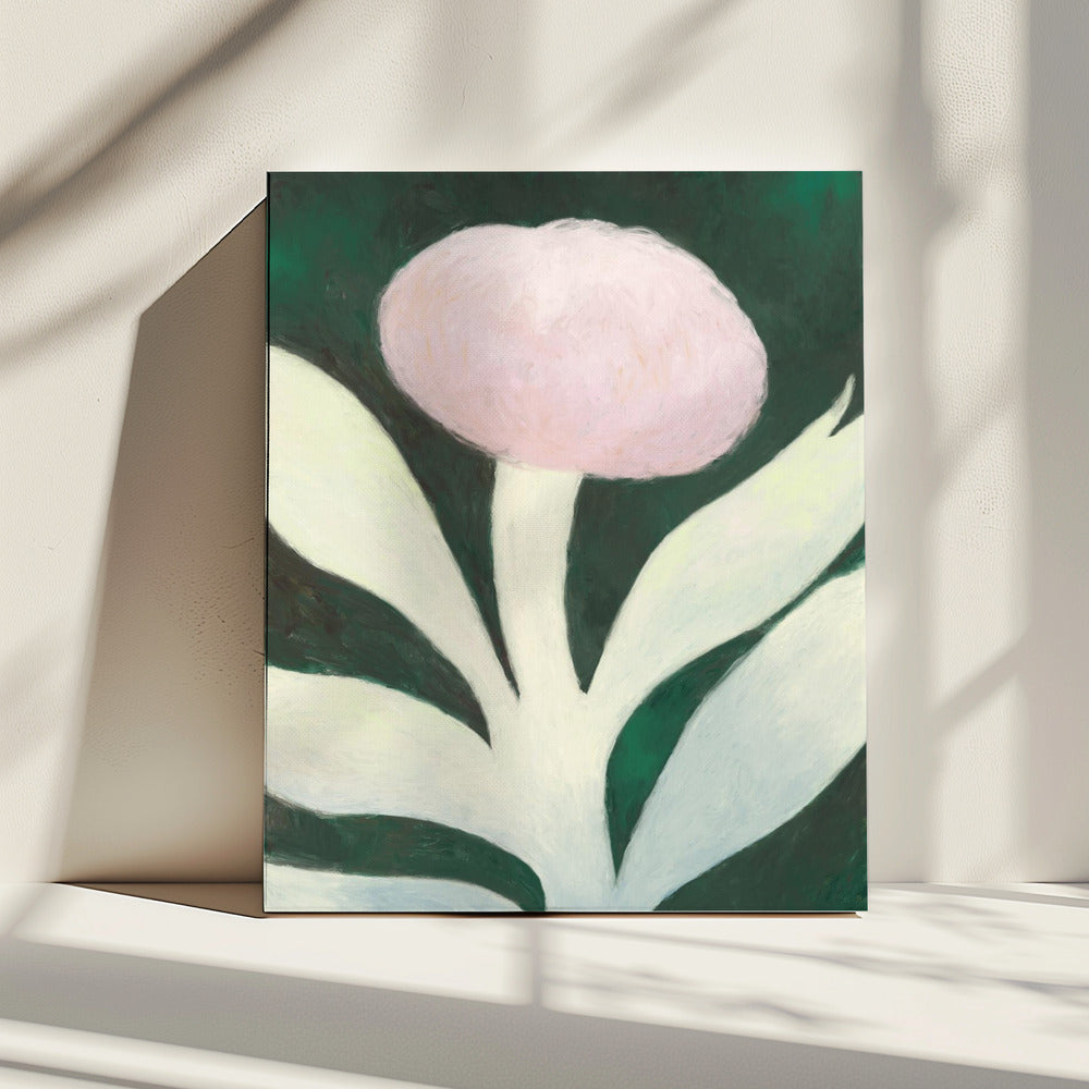 Mondblume | Leinwand