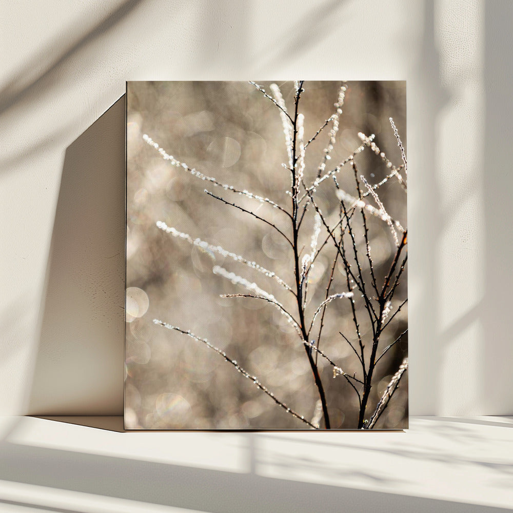 Ein Wintermorgen 5 | Leinwand