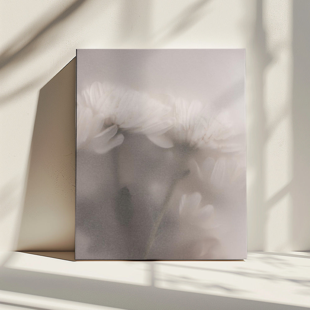 Verschwommene Blumen 2 | Leinwand