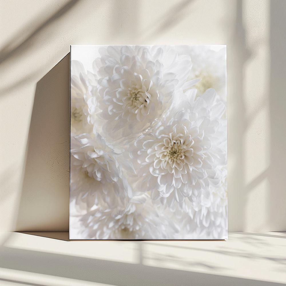 Weiße Blumen 1 | Leinwand