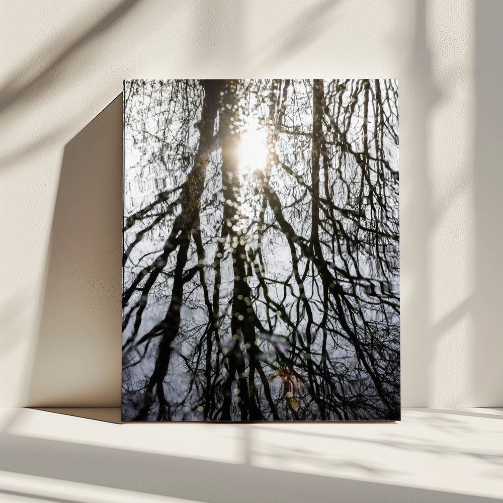 Winterreflexionen 4 | Leinwand