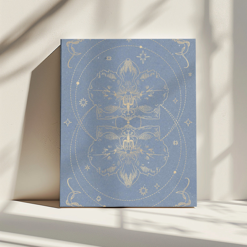 The mystical orchid | Canvas