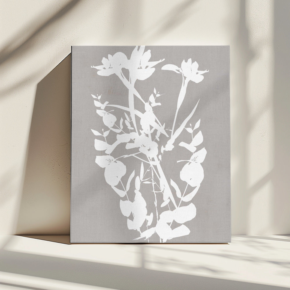 Botanische Illustration 1 | Leinwand